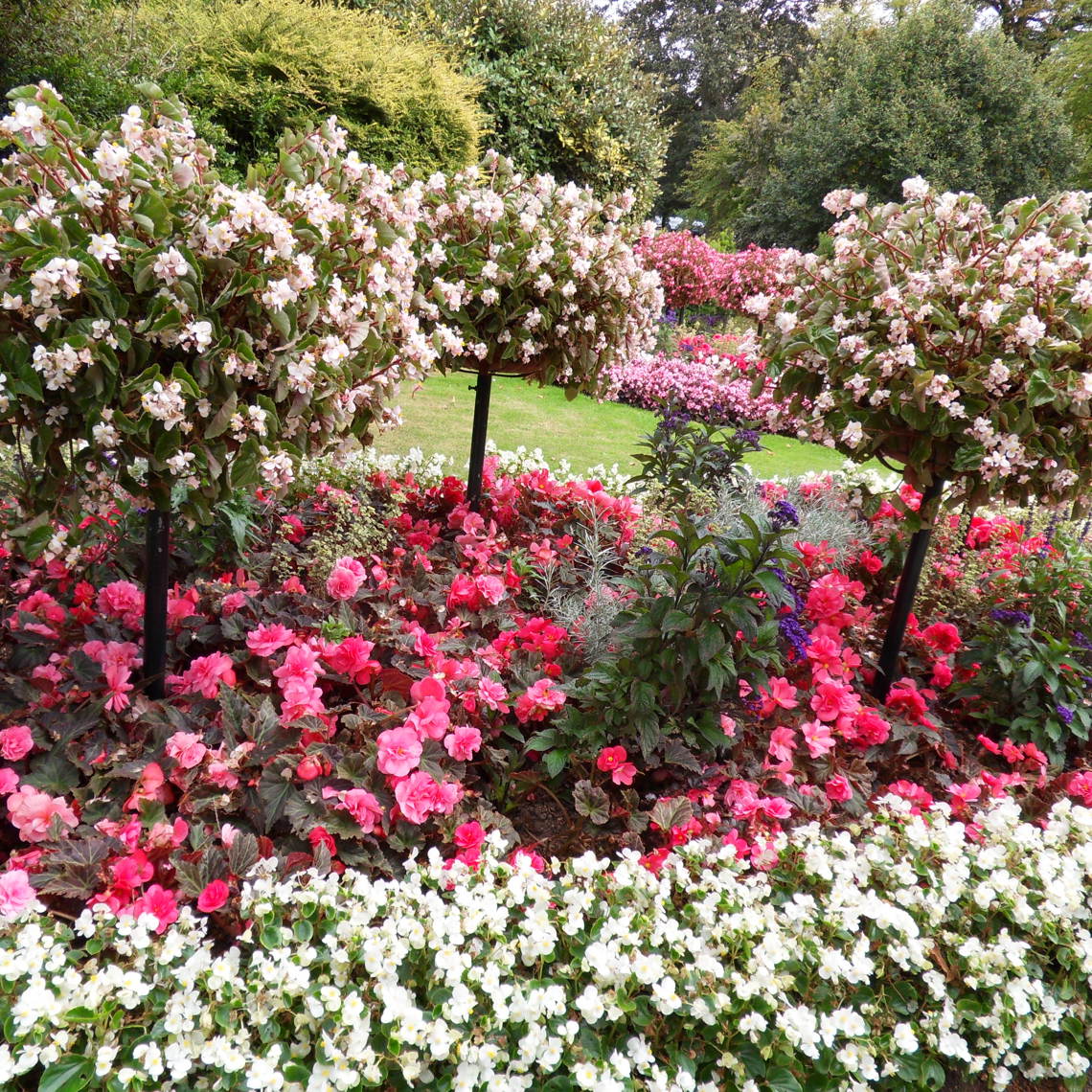 Botanisk Have