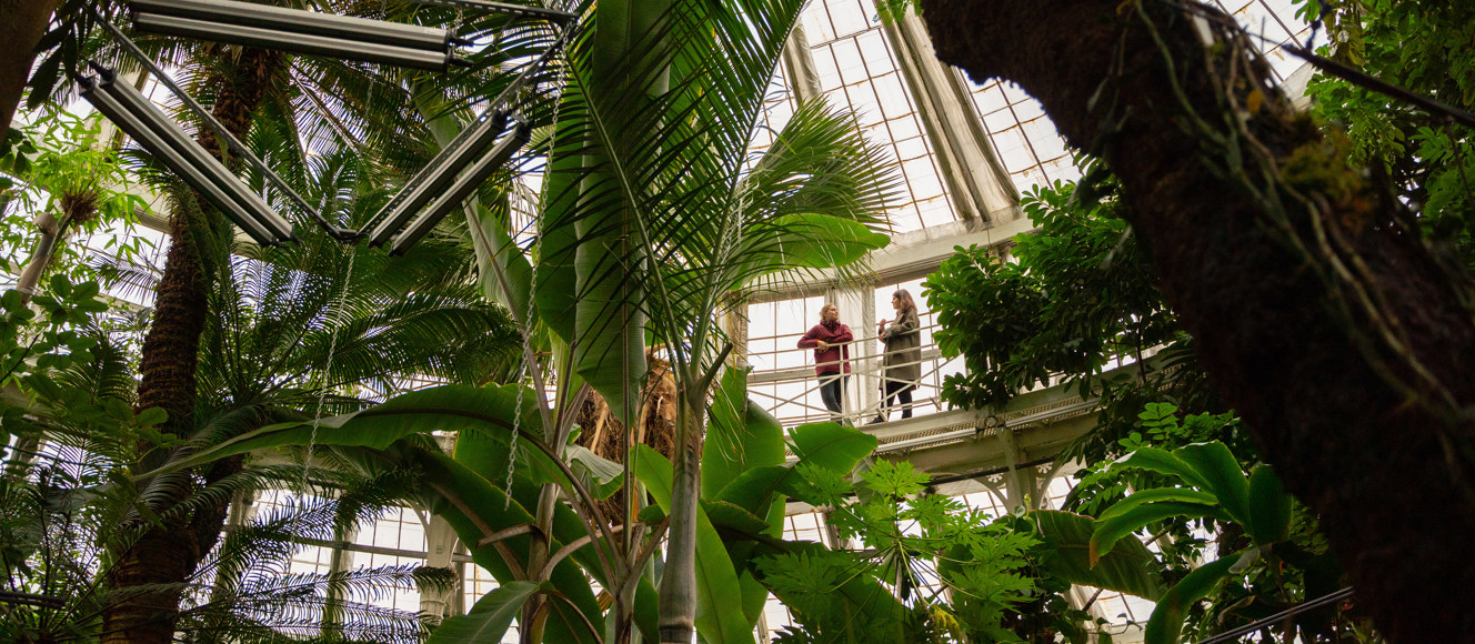 Botanisk Have