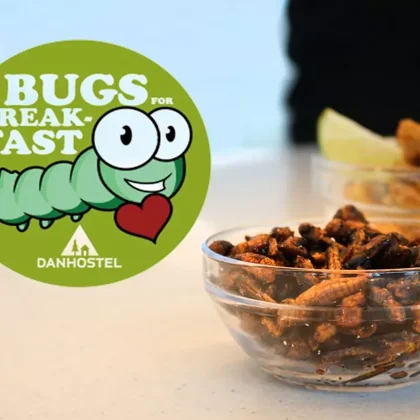 Bugs for breakfast