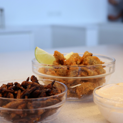 Aufkleber mit dem Text Bugs for Breakfast und Schalen mit gerösteten Insekten